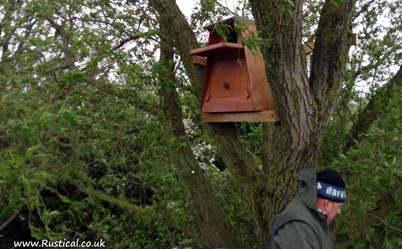 Barn Owl Nest Box Installed