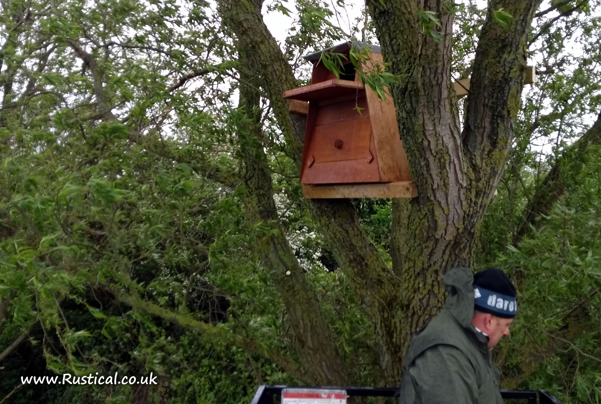 Barn owl nest box braced into tree
