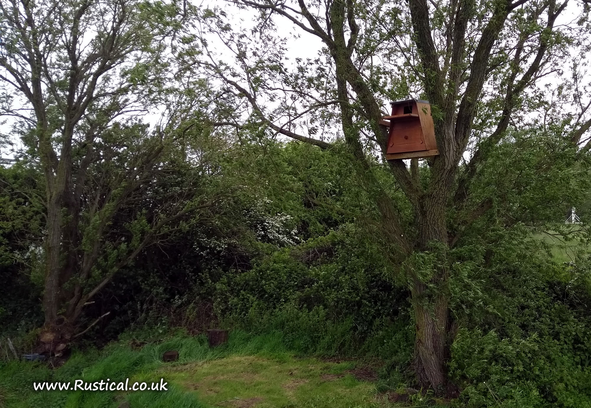 Installing a Barn Owl nest box