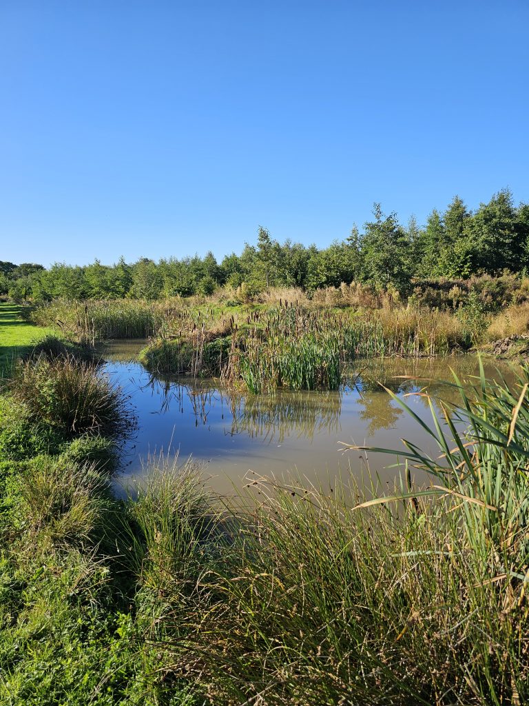 Farm ponds