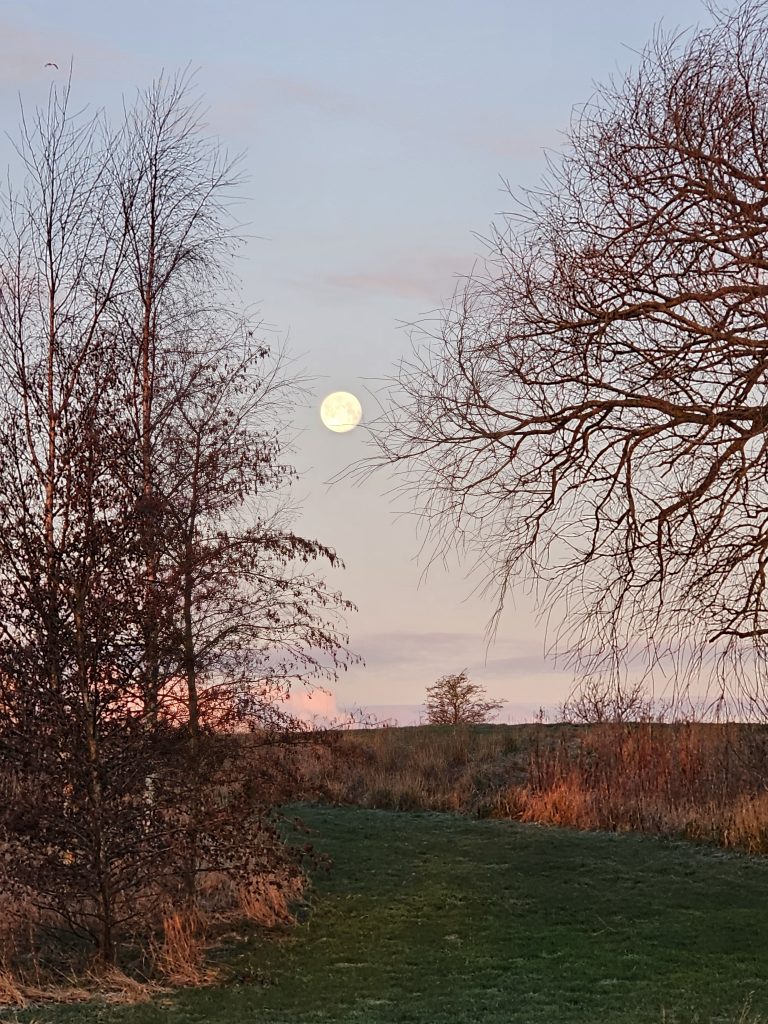 Full moon at dawn