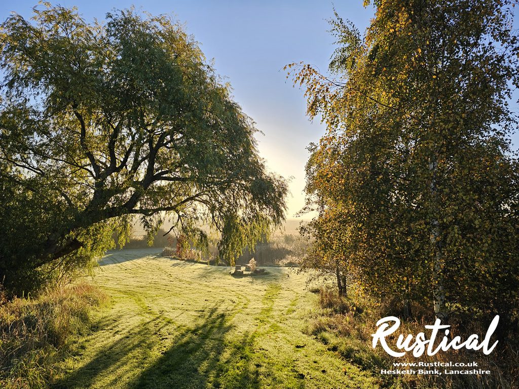 Autumn morning sunshine